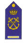 Guardia Marina 1º